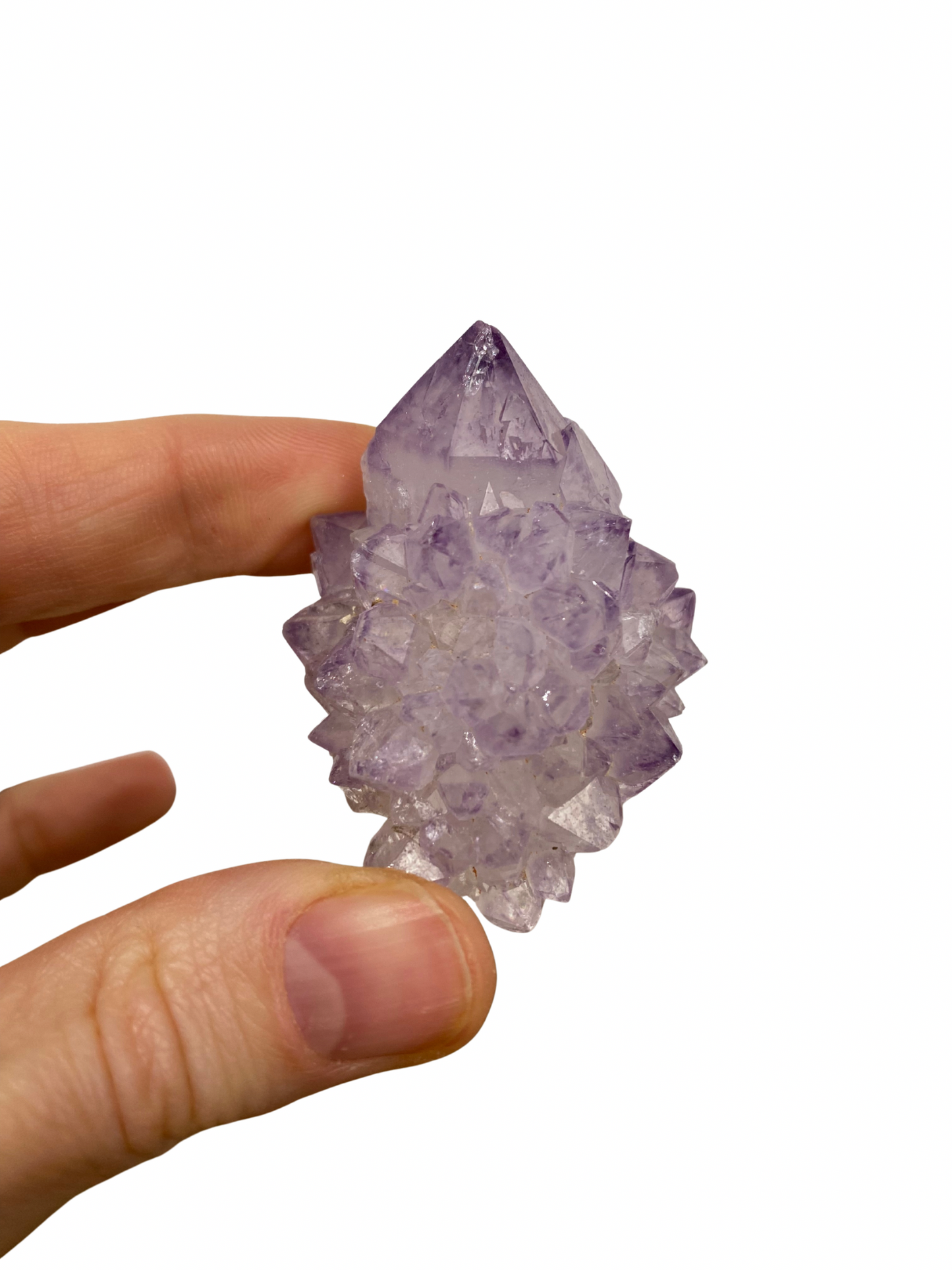 Cactus Spirit Amethist