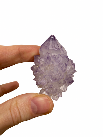 Cactus Spirit Amethist