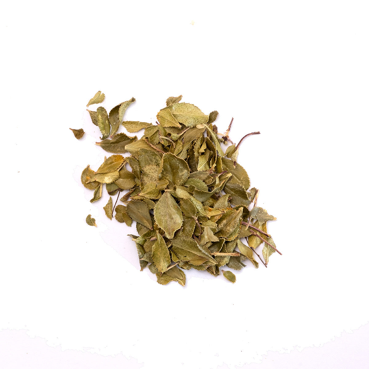 Exotic Buchu tea - Lotus