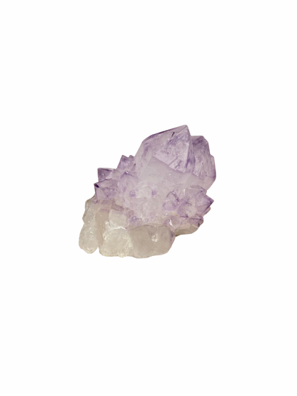 Cactus Spirit Amethist