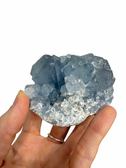 Celestien cluster 1