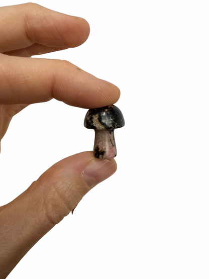 Rhodoniet mini paddenstoel