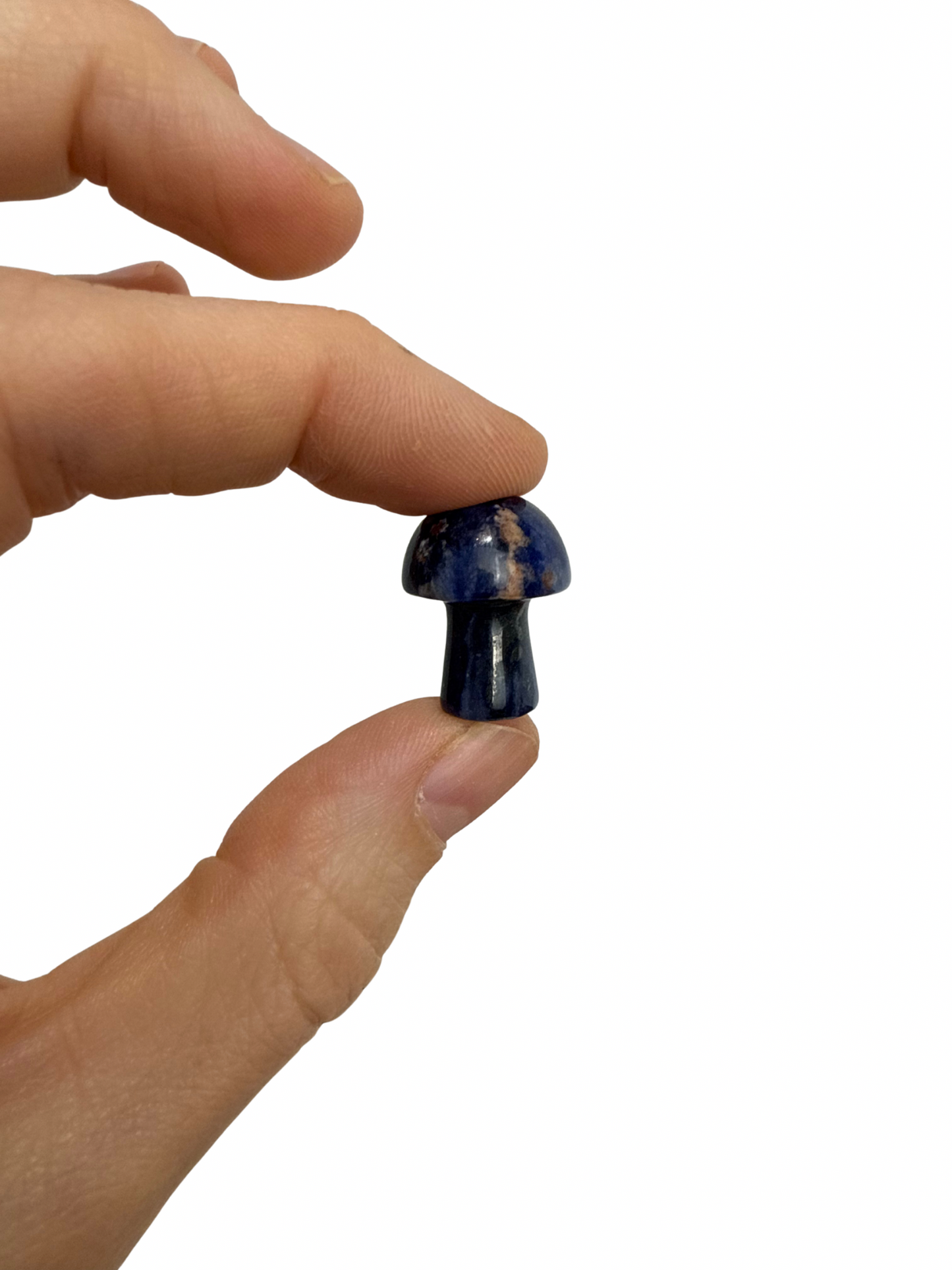 Sodaliet mini paddenstoel