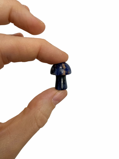 Sodaliet mini paddenstoel