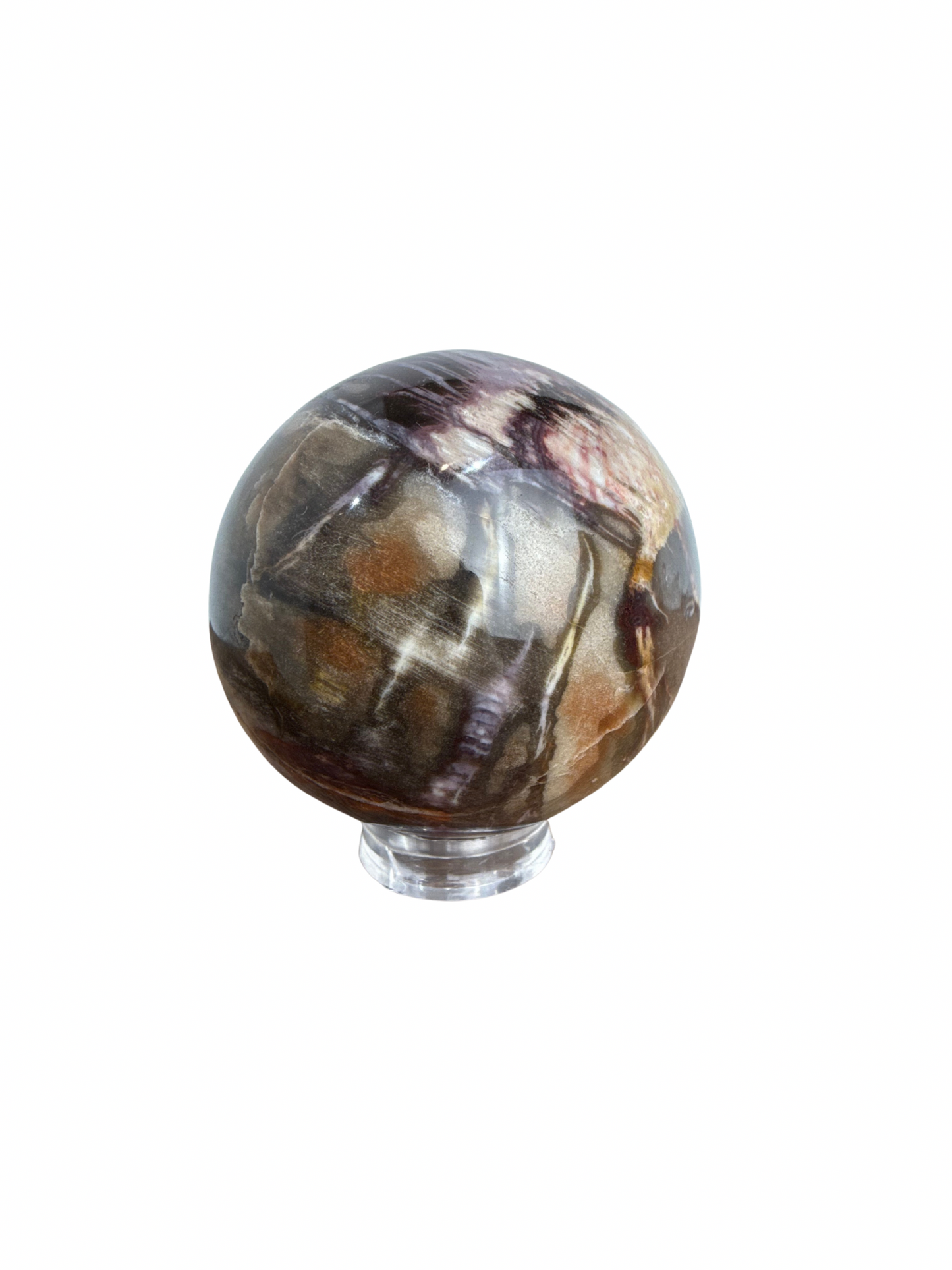 Versteend Hout bol 3