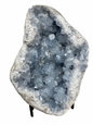 Celestien cluster XL (Madagascar) | 6 kg