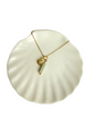 Evi necklace moon + Amazonite pendant