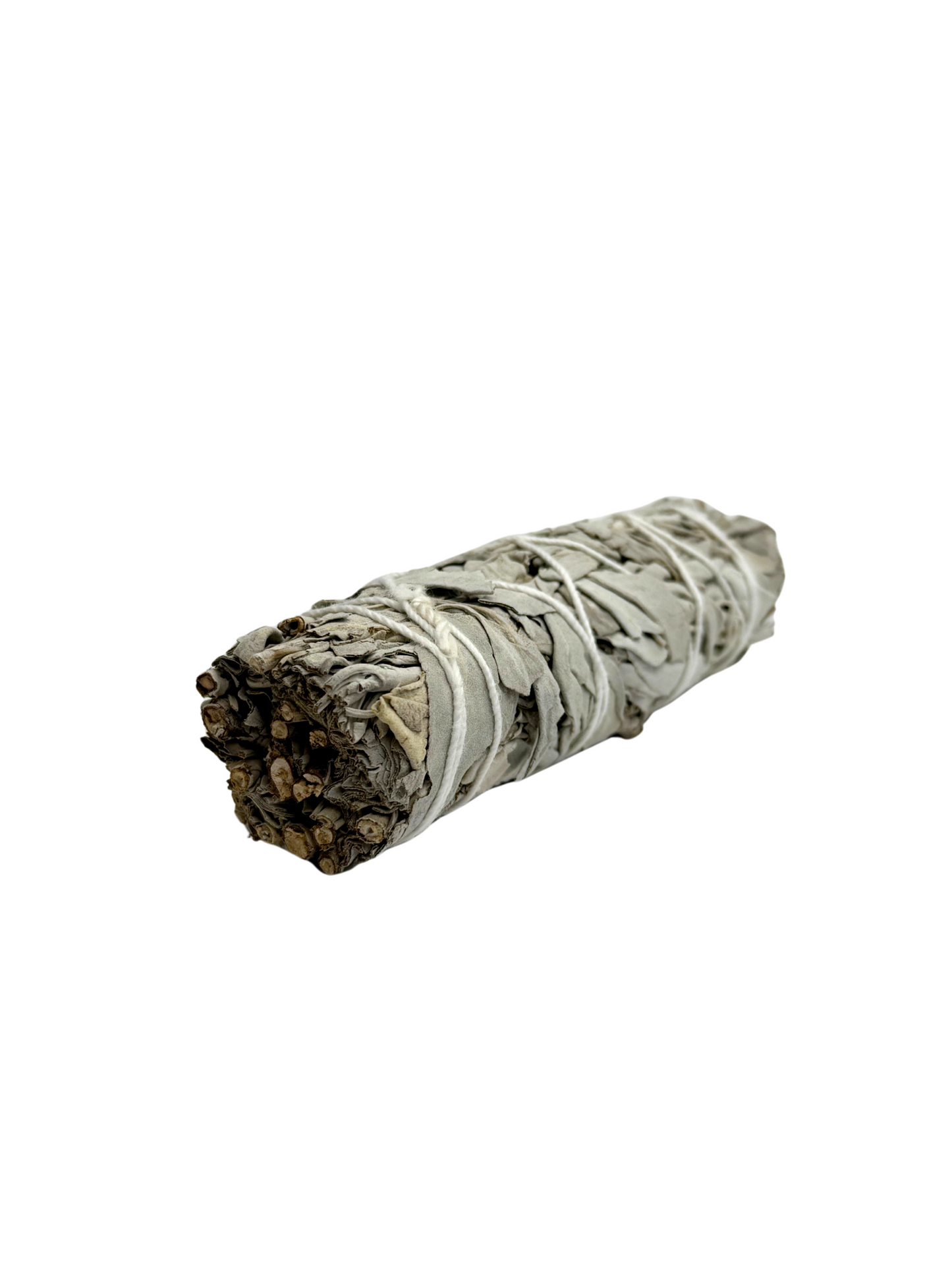 Witte salie bundel
