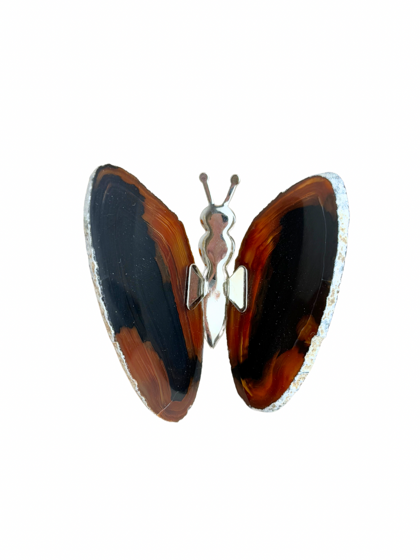 Agate butterfly (natural)