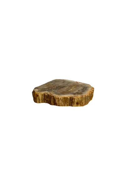Schijf Versteend Hout